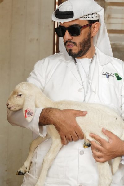 ALI01324